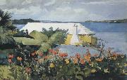 Winslow Homer Flower Garden and Bungalow,Bermuda (mk44) oil painting